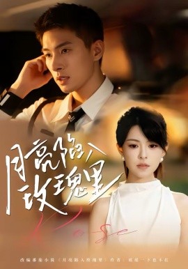 月亮陷入玫瑰里(全集)