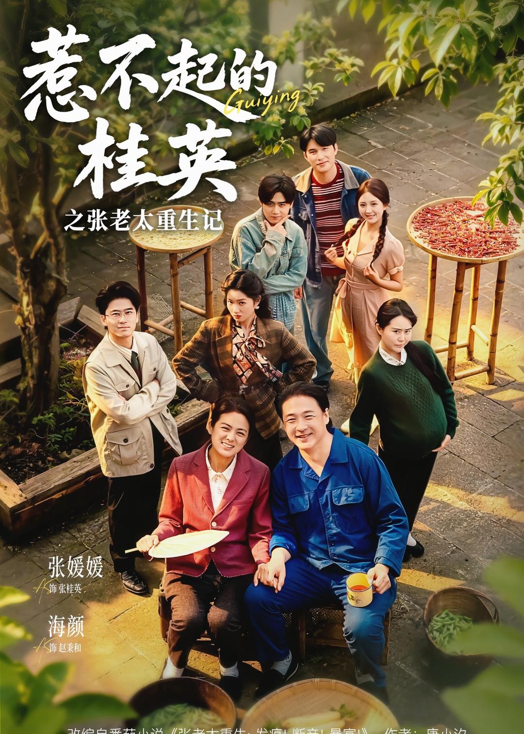 惹不起的桂英之张老太重生记(全集)