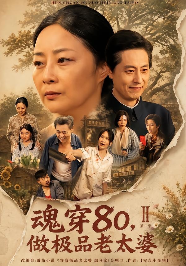 魂穿80，做极品老太婆第二季(全集)
